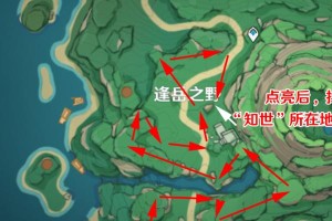 挑战雷鸟，解锁不凡成就，让我们一同征服风雷之境（挑战雷鸟，解锁不凡成就，让我们一同征服风雷之境）