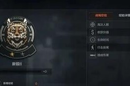 暗器突围6级出装攻略（打造6级暗器突围必备装备，让你成为无敌刺客）