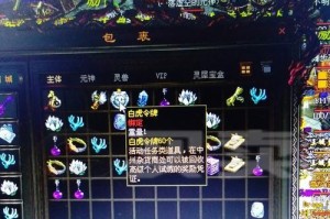 传奇世界法师出装攻略（探索法师装备选择与加点技巧，助您在游戏中脱颖而出！）