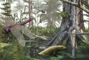 探索能源攻略（保护能源系统免受虫子威胁的关键策略）