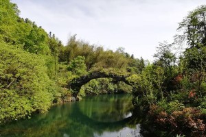 云游戏桃花源攻略（用智慧拓展你的桃花源，让梦想成真！）