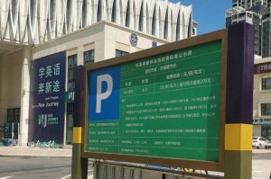 《半人猛犸的出装攻略》（打造最强攻击力的半人猛犸装备方案）