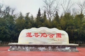 《畅玩莲花池公园小游戏攻略》（寻找乐趣，挑战自我，尽情畅游！）