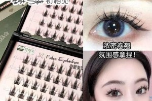 《电眼美女3》攻略大揭秘！（掌握关键技巧，打造最强角色！）