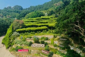《追寻世外桃源之梦想游戏攻略》（揭秘梦想游戏的奇妙世界，让梦想照进现实）