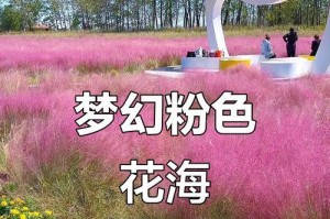 《探寻粉色花海的秘密》（揭示游戏攻略，闯荡粉色花海的方法和技巧）